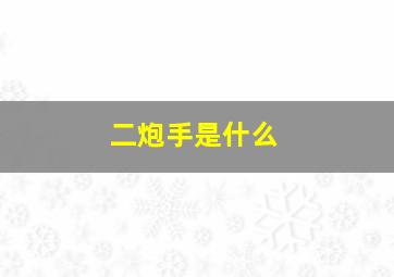 二炮手是什么