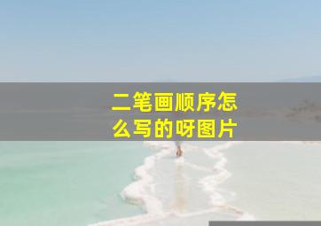 二笔画顺序怎么写的呀图片