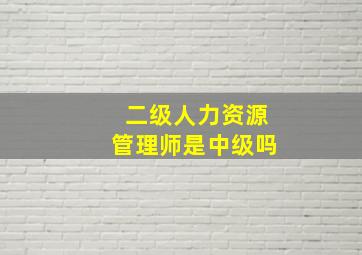 二级人力资源管理师是中级吗