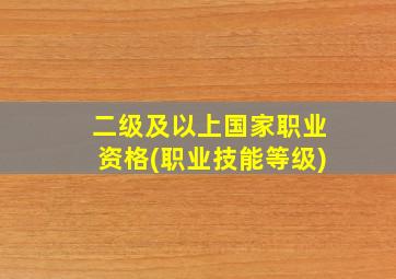 二级及以上国家职业资格(职业技能等级)