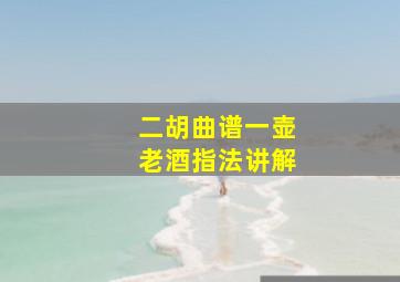 二胡曲谱一壶老酒指法讲解