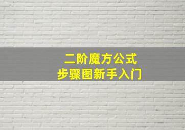 二阶魔方公式步骤图新手入门