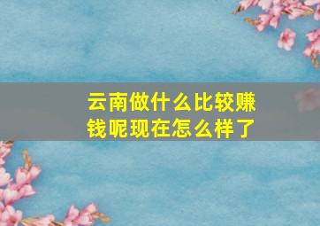 云南做什么比较赚钱呢现在怎么样了