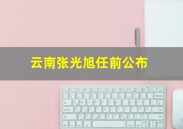 云南张光旭任前公布