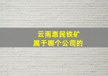 云南惠民铁矿属于哪个公司的