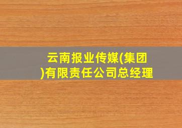 云南报业传媒(集团)有限责任公司总经理