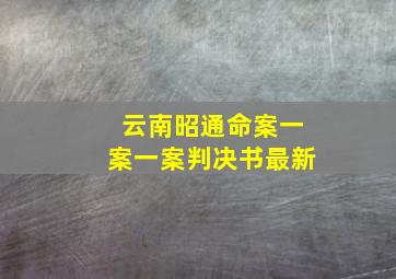 云南昭通命案一案一案判决书最新