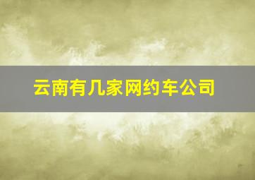 云南有几家网约车公司