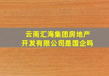 云南汇海集团房地产开发有限公司是国企吗