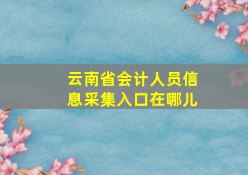 云南省会计人员信息采集入口在哪儿