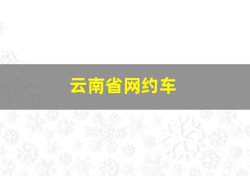 云南省网约车