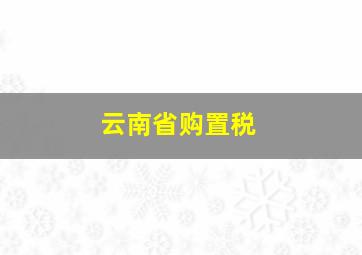 云南省购置税