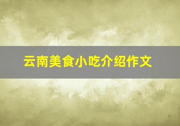 云南美食小吃介绍作文