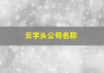 云字头公司名称