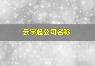 云字起公司名称