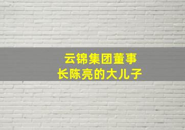 云锦集团董事长陈亮的大儿子