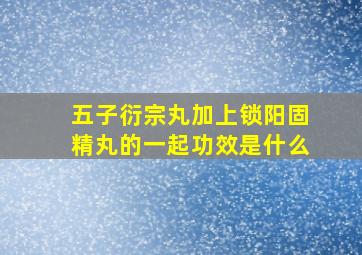 五子衍宗丸加上锁阳固精丸的一起功效是什么