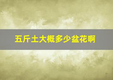 五斤土大概多少盆花啊