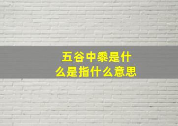 五谷中黍是什么是指什么意思