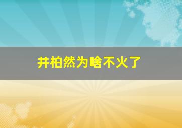 井柏然为啥不火了