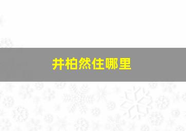 井柏然住哪里