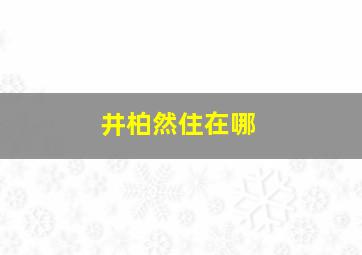 井柏然住在哪