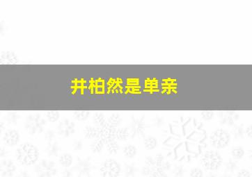 井柏然是单亲