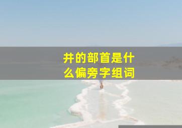 井的部首是什么偏旁字组词