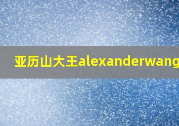 亚历山大王alexanderwang包包