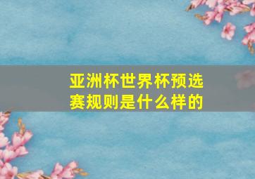 亚洲杯世界杯预选赛规则是什么样的