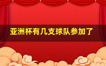 亚洲杯有几支球队参加了