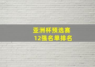 亚洲杯预选赛12强名单排名