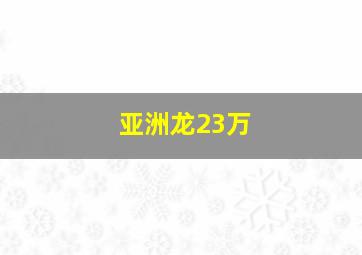 亚洲龙23万