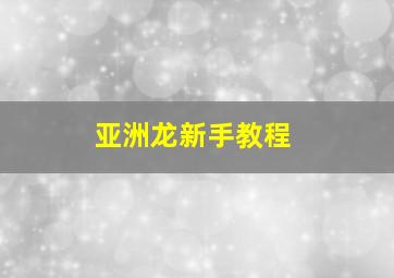 亚洲龙新手教程