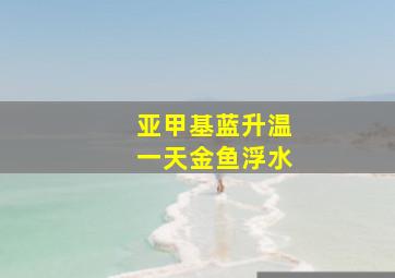 亚甲基蓝升温一天金鱼浮水