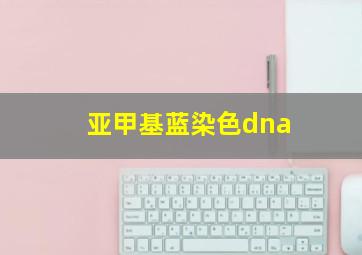 亚甲基蓝染色dna