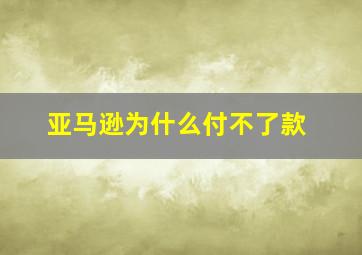 亚马逊为什么付不了款