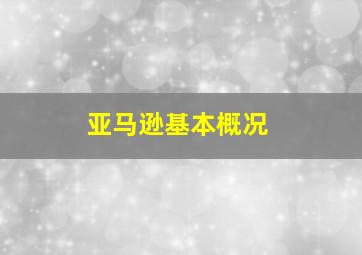 亚马逊基本概况