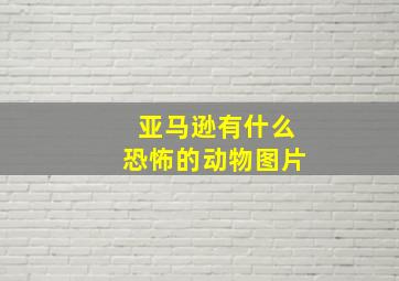 亚马逊有什么恐怖的动物图片