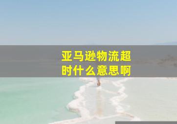 亚马逊物流超时什么意思啊