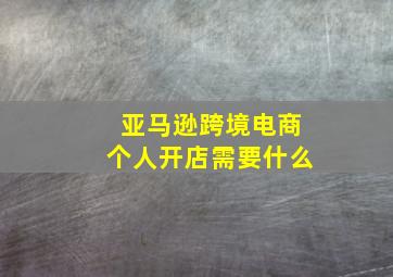 亚马逊跨境电商个人开店需要什么