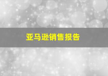 亚马逊销售报告