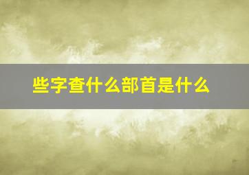 些字查什么部首是什么