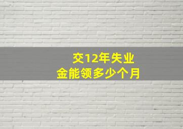 交12年失业金能领多少个月