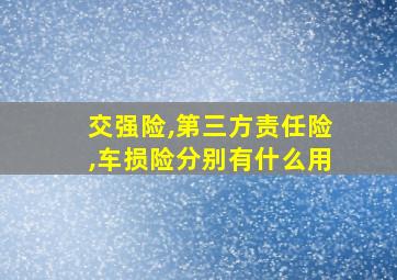 交强险,第三方责任险,车损险分别有什么用