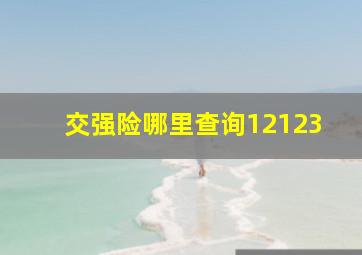 交强险哪里查询12123