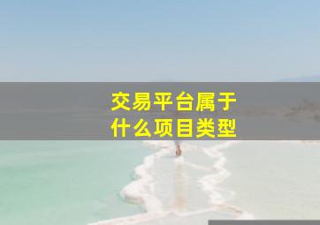 交易平台属于什么项目类型