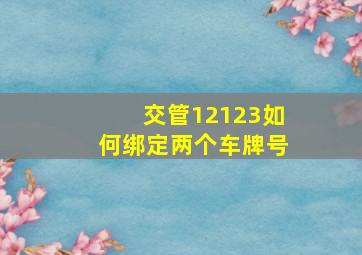 交管12123如何绑定两个车牌号