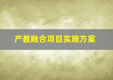 产教融合项目实施方案