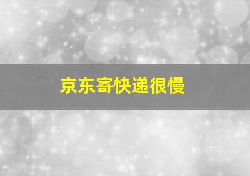 京东寄快递很慢